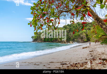 Strand, Corcovado Nationalpark, Halbinsel Osa, Costa Rica. Stockfoto