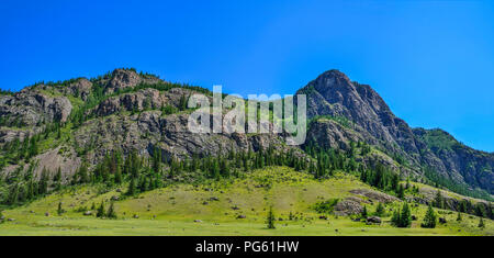 Schöner Panoramablick sonnige Sommer Landschaft in Altai Gebirge, Russland. Tannen spärlich wächst an den Hängen der Berge, Felsen und große Felsbrocken auf gre Stockfoto