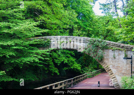 Eine steinerne Brücke über einen Fluss inmitten von Bäumen und Sträuchern im Jesmond Dene, Newcastle, England Stockfoto