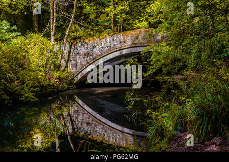 Eine Brücke aus Stein mit Moos über einen noch Fluss im Jesmond Dene, Newcastle, England, UK abgedeckt Stockfoto