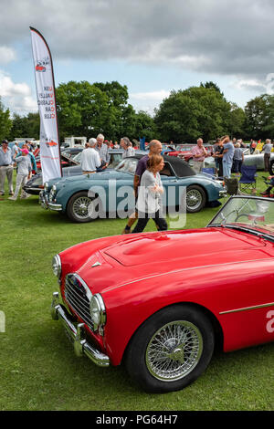 Swallow Doretti und Jaguar XK 140 Bei einem Oldtimertreffen in Wales. Stockfoto