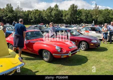 Rot E-type Jaguar in einem Oldtimertreffen. Stockfoto