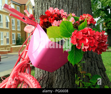 Hunstanton in voller Blüte, ungewöhnliche Pflanze Container, rosa lackiert Fahrrad, rot, rosa Hortensien, Blumen Stockfoto