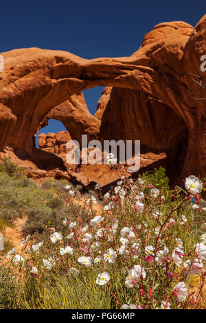 Windows Abschnitt mit Double Arch Stockfoto
