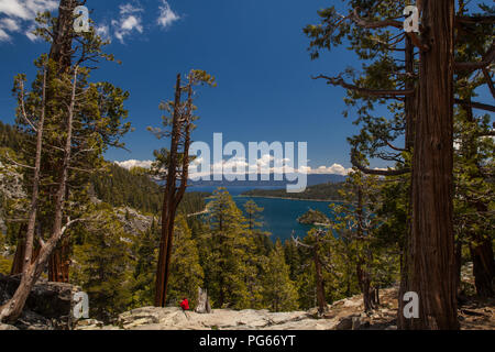 Adler fällt an der Emerald Bay Lake Tahoe Stockfoto