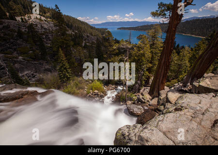 Adler fällt an der Emerald Bay Lake Tahoe Stockfoto