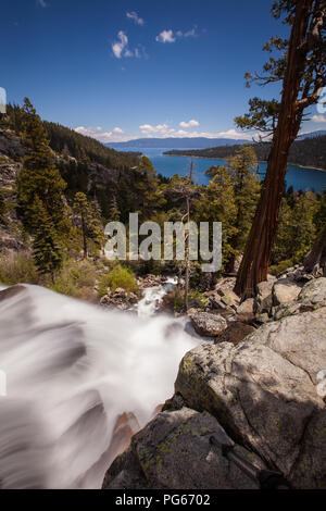 Adler fällt an der Emerald Bay Lake Tahoe Stockfoto