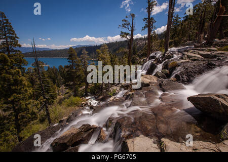 Adler fällt an der Emerald Bay Lake Tahoe Stockfoto