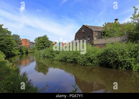 Ein Abschnitt der Fünf Wehre Spaziergang am Fluss Don, Sheffield, South Yorkshire, England, UK. Stockfoto