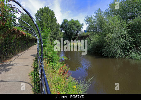 Ein Abschnitt der Fünf Wehre Spaziergang am Fluss Don, Sheffield, South Yorkshire, England, UK. Stockfoto