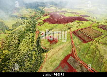 USA, Hawaii, Kauai, Feld Landschaft, Luftaufnahme Stockfoto
