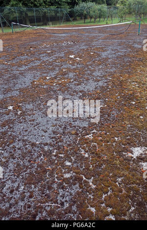 Stillgelegte Tennisplatz in schlechtem Zustand Stockfoto