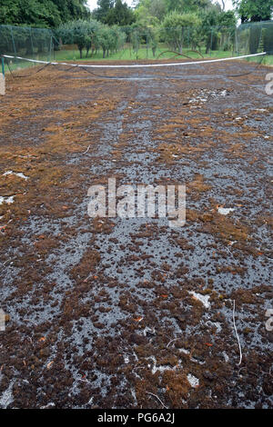 Stillgelegte Tennisplatz in schlechtem Zustand Stockfoto