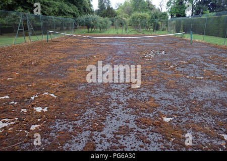 Stillgelegte Tennisplatz in schlechtem Zustand Stockfoto