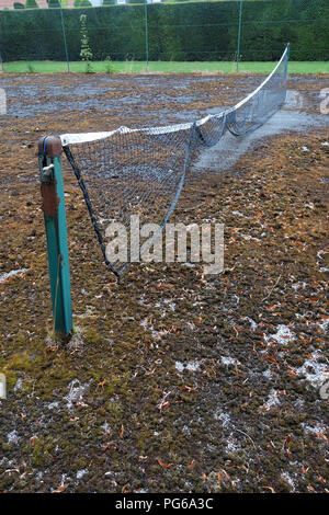 Stillgelegte Tennisplatz in schlechtem Zustand Stockfoto