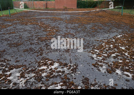 Stillgelegte Tennisplatz in schlechtem Zustand Stockfoto