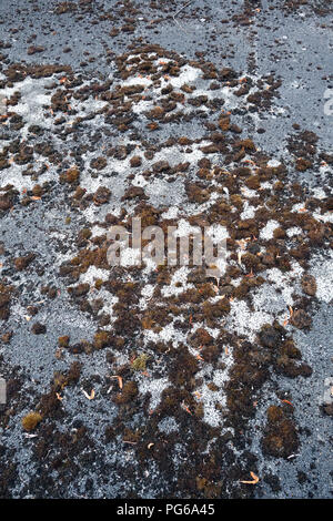 Stillgelegte Tennisplatz in schlechtem Zustand Stockfoto