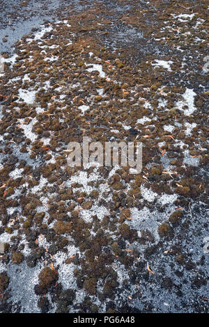 Stillgelegte Tennisplatz in schlechtem Zustand Stockfoto