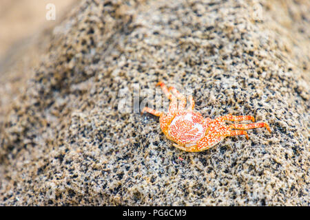 Eine typische Ansicht in Santa Marta, Kolumbien. Stockfoto