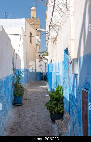 Die engen Gassen der Kasbah des Oudaia in Rabat, der Hauptstadt von Marokko. Alle Wände in der Medina sind lackiert in Blau und Weiß Stockfoto