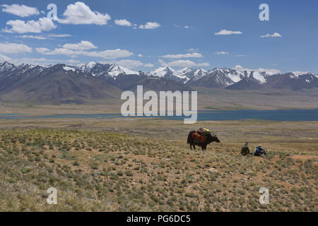 Der Blick in die Großen Pamir Palette an Afghanistan während Trekking in der Nähe von Lake Zorkul, Tadschikistan Stockfoto