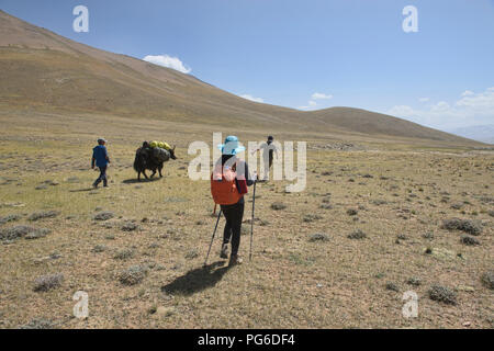 Yak Trekking in der Nähe von Lake Zorkul, Tadschikistan Stockfoto