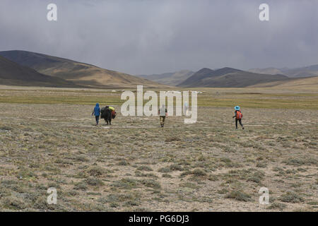 Yak Trekking in der Nähe von Lake Zorkul, Tadschikistan Stockfoto