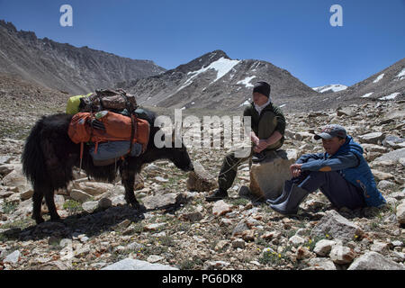 Yak Trekking in der Nähe von Lake Zorkul, Tadschikistan Stockfoto