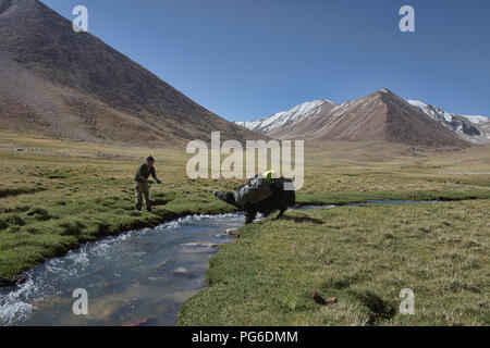 Yak Trekking zum See Zorkul, Tadschikistan Stockfoto