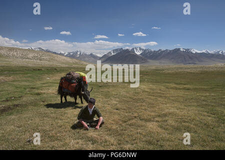 Yak Trekking zum See Zorkul, Tadschikistan Stockfoto