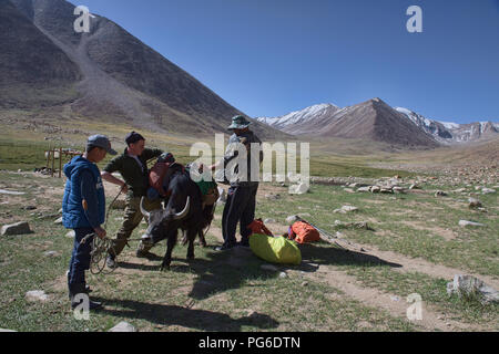 Vorbereitung für Yak Trekking zum See Zorkul, Tadschikistan Stockfoto