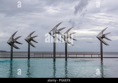 Lagunenpool auf der Esplanade von Cairns Stockfoto