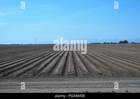 Feld für die Aussaat im Imperial County, Kalifornien, USA. Stockfoto