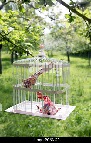 Origami coi im Käfig Stockfoto