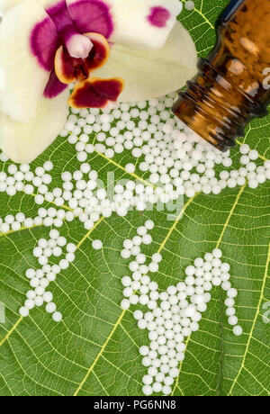 Globuli auf grünes Blatt, Orchidee, Blume, apothecary bottle Stockfoto