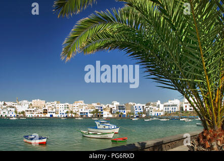 ARRECIFE PALM TREE El Charco de San Gines, einem malerischen Einlass in Arrecife Stadtzentrum mit Restaurants und Boote, Lanzarote, Kanarische Inseln, Spanien Stockfoto