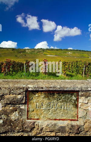 LA TACHE Romanee Conti Vineyard Steintafel, Grenzmauer von La Tache. Domaine de la Romanee-Conti, Vosne Romanee, Cote d'Or, Frankreich Stockfoto