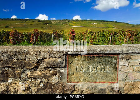LA TACHE DRK gravierten Stein name Plakette in Mauer von La Tache Weingut Domaine de la Romanee-Conti, Vosne Romanee Cote d'Or, Frankreich Stockfoto
