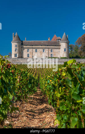 Chateau de Chalon-sur-Saône nach unten schauen. Der Weinberg von Antonin Rodet, Chalon-sur-Saône, Saône-et-Loire, Cote Chalonnaise, Frankreich. Stockfoto