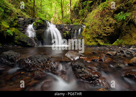 Emerald fällt zusammen Gorton Creek in der Columbia River Gorge, Oregon Stockfoto