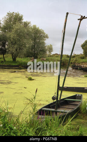 La Grande Brière, Pays de la Loire, Frankreich: Eine alte Stocherkahn auf eine Verschlammte canal Stockfoto