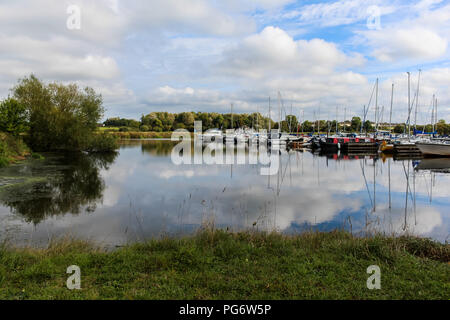 Segeln Masten im Wasser an Kinnego Marina, Oxford Island, N, Irland wider. Stockfoto