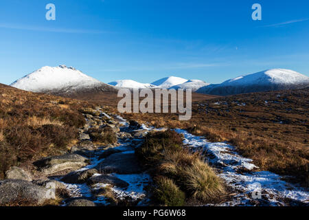 Mit Blick auf die Heide auf schneebedeckte Berge im Winter. Mourne Mountains, N. Irland. Stockfoto