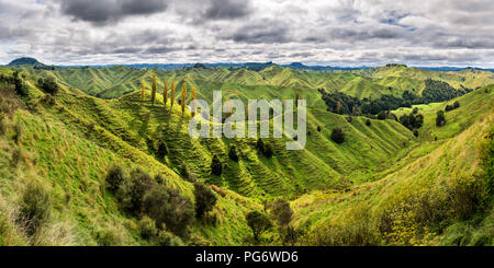 Neuseeland, Nordinsel, Taranaki, Landschaft von Vergessene Welt Autobahn gesehen Stockfoto