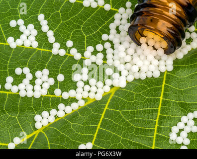 Globuli auf grünem Blatt und apothecary bottle Stockfoto