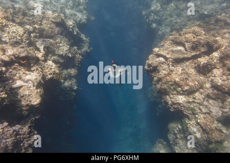 Indonesien, Bali, junge Frau Schnorcheln Stockfoto