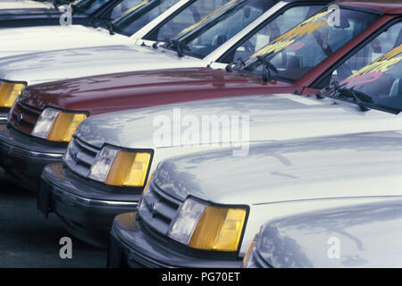 1988 historische Neue Automobile (© FORD MOTOR CO 1988) IN REIHEN OUTDOOR AUTOHAUSES viel gefüttert Stockfoto