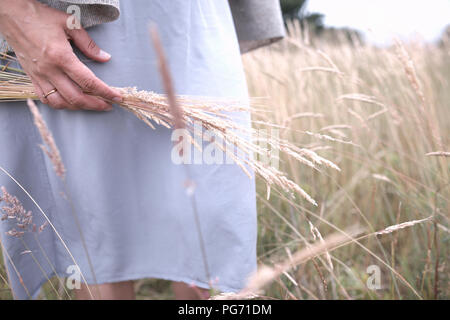 Woman's Hand, die Gräser auf den eingereichten, Teilansicht Stockfoto