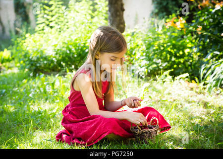 Portrait von kleinen Mädchen das Tragen der roten Sommerkleid sitzen auf einer Wiese mit Korb mit Kirschen Stockfoto