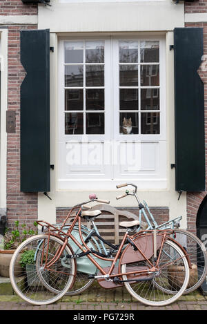 Katze durch ein Fenster in den Kanal Amsterdamer Stadtteil mit zwei Fahrräder außerhalb Stockfoto